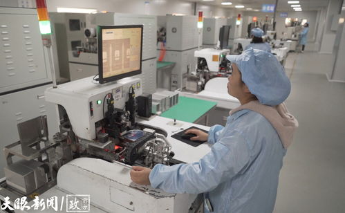 多彩貴州網 遵義這家企業每年出口數億顆 小星星