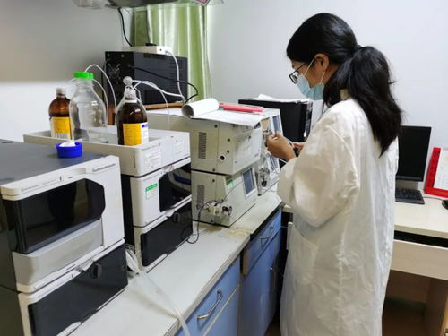 鄉(xiāng)村振興 高要 加強(qiáng)農(nóng)業(yè)科技創(chuàng)新,推動(dòng)現(xiàn)代農(nóng)業(yè)發(fā)展