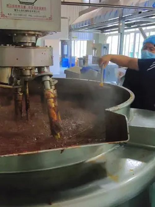 食品加工機(jī)械 流水線上的精密藝術(shù)與效率革命